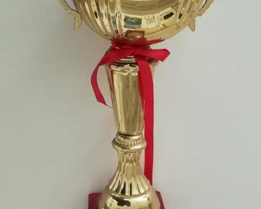 香港六和盒宝典大全