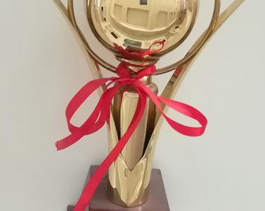 香港六和盒宝典大全