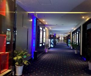 香港六和盒宝典大全