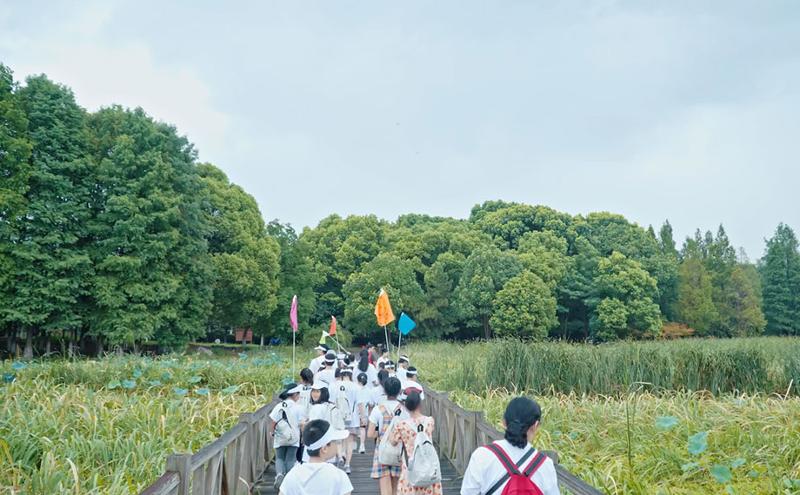 香港六和盒宝典大全